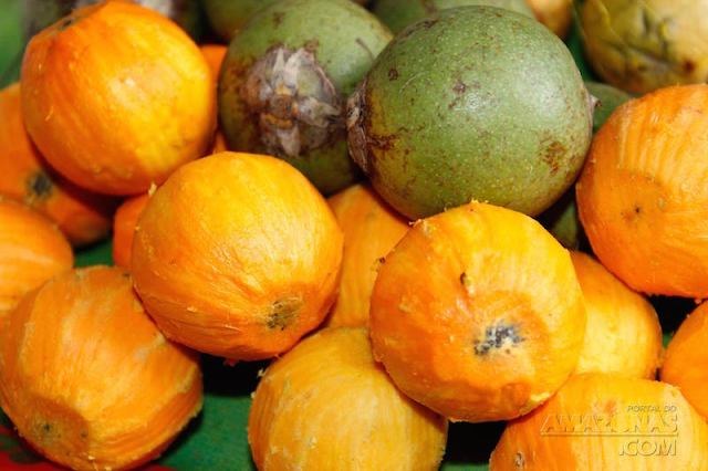 FVS investiga casos de doença causada por ingestão de tucumã em Manacapuru