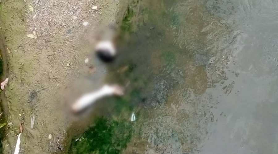 URGENTE: Cabeça e perna humana é encontrada em igarapé de Manaus