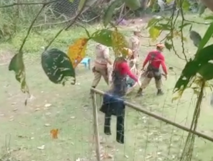 Corpo é encontrado em área de mata em Manaus