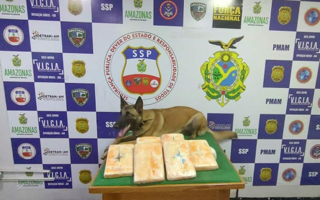 Drogas são encontradas escondidas em lixeira de embarcação no AM