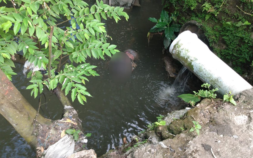 Corpo de homem é encontrado cercado por jacarés em igarapé de Manaus
