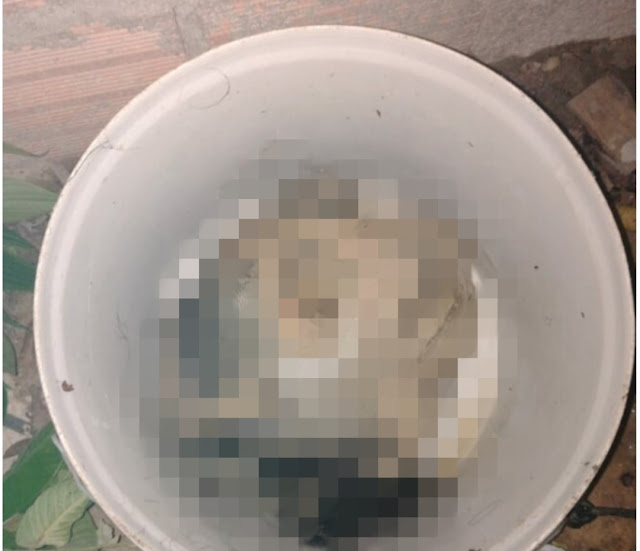 Macabro: cabeça humana é deixada em bueiro na zona Norte