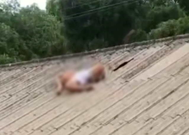 Com ‘Wi-Fi’ na perna, homem é morto em telhado de casa após ser perseguido no Dom Pedro; veja vídeo