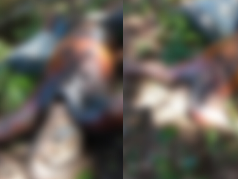 Corpo em avançada decomposição é encontrado em ramal no AM