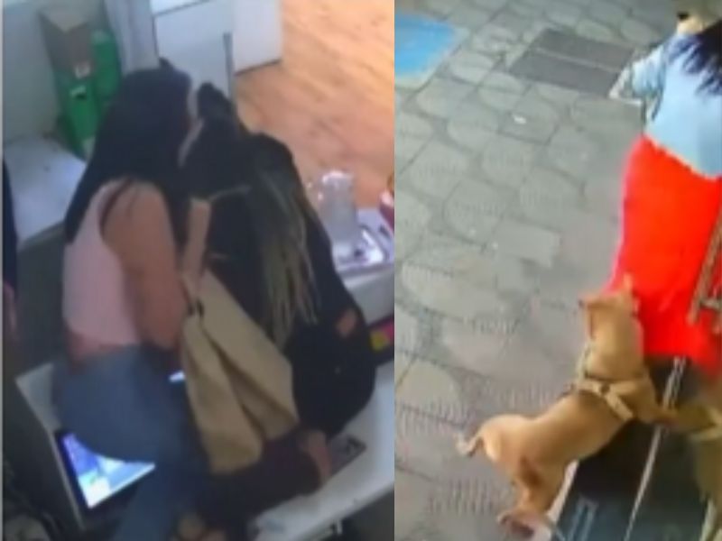 Pitbull invade loja e persegue mulheres
