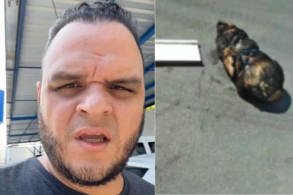 Marido de Joana Darc diz que cachorro amarrado e morto teria sido ‘doado’ por tutor no Armando Mendes (vídeo)