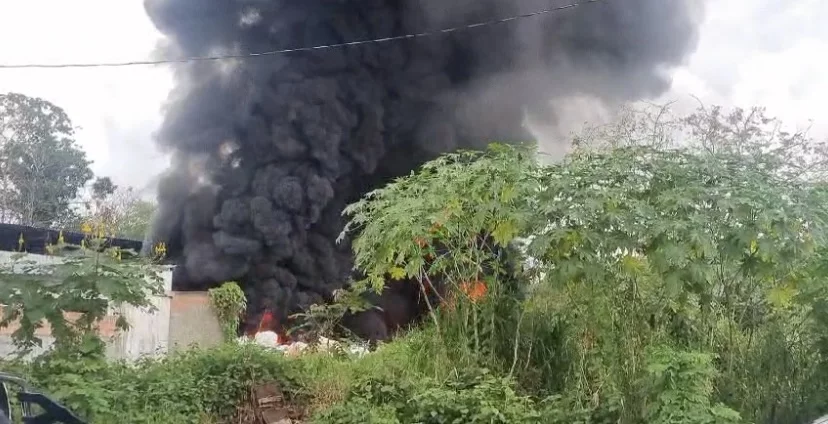 Fábrica de isopor é atingida por incêndio no Tarumã (vídeo)