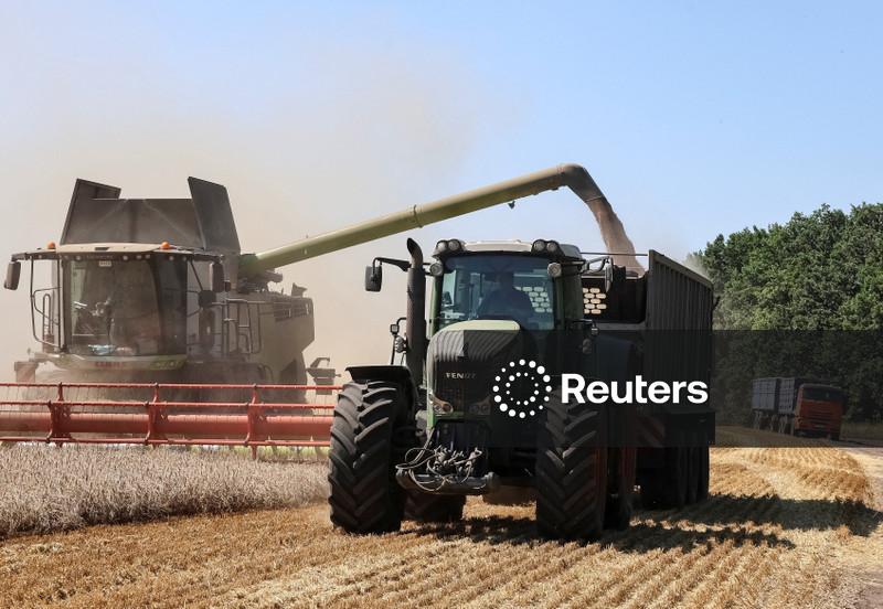 Ucrânia recorre a rotas alternativas de exportação de grãos enquanto Rússia bloqueia portos
