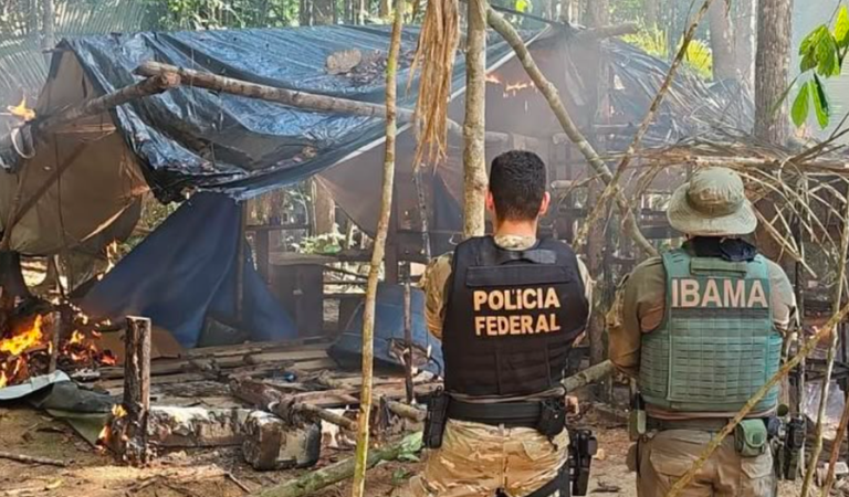 PF e Ibama combatem garimpo ilegal em terra indígena