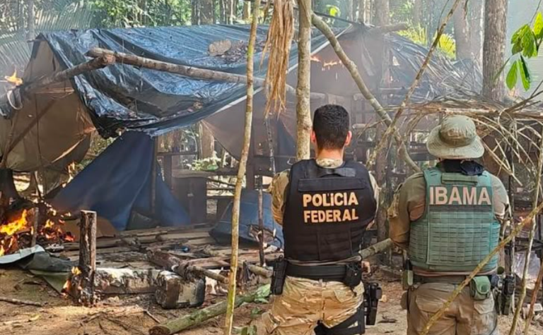 PF e Ibama combatem garimpo ilegal em terra indígena