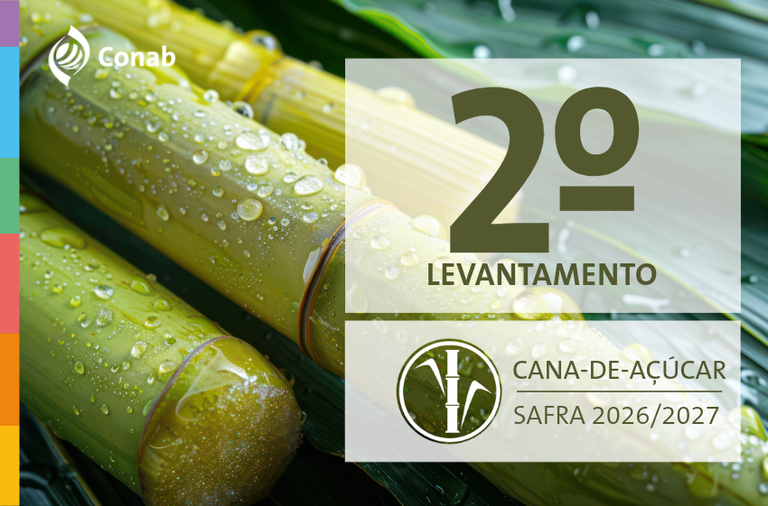 Conab: safra de cana-de açúcar 2026/27 deve crescer 4,7% e produzir 705,2 milhões de toneladas