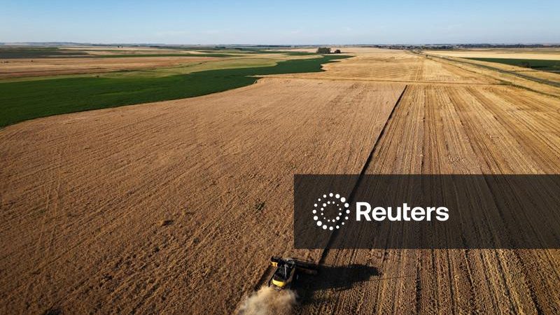 Agricultores argentinos retêm safra de trigo de olho em preços mais altos