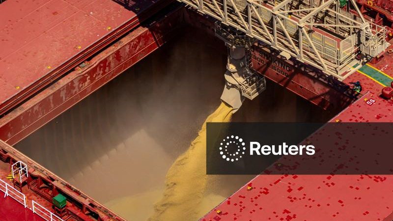 Anec vê aumento nas exportações de soja do Brasil em agosto e recuo para o milho