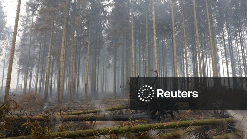 Maior incêndio florestal já registrado na Bélgica avança em direção à Alemanha