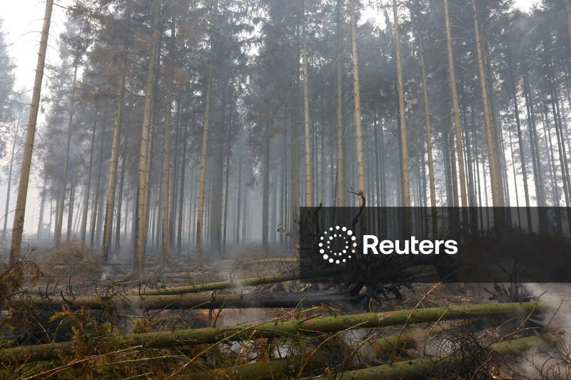 Maior incêndio florestal já registrado na Bélgica avança em direção à Alemanha
