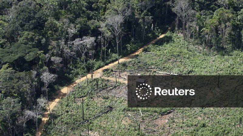 Desmatamento na Amazônia cai 36,9% e atinge menor nível da série histórica, diz governo