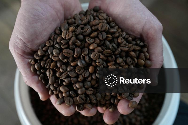 Perspectiva para oferta de café é “confortável”, apesar de atrasos no Brasil e na Colômbia, diz Rabobank