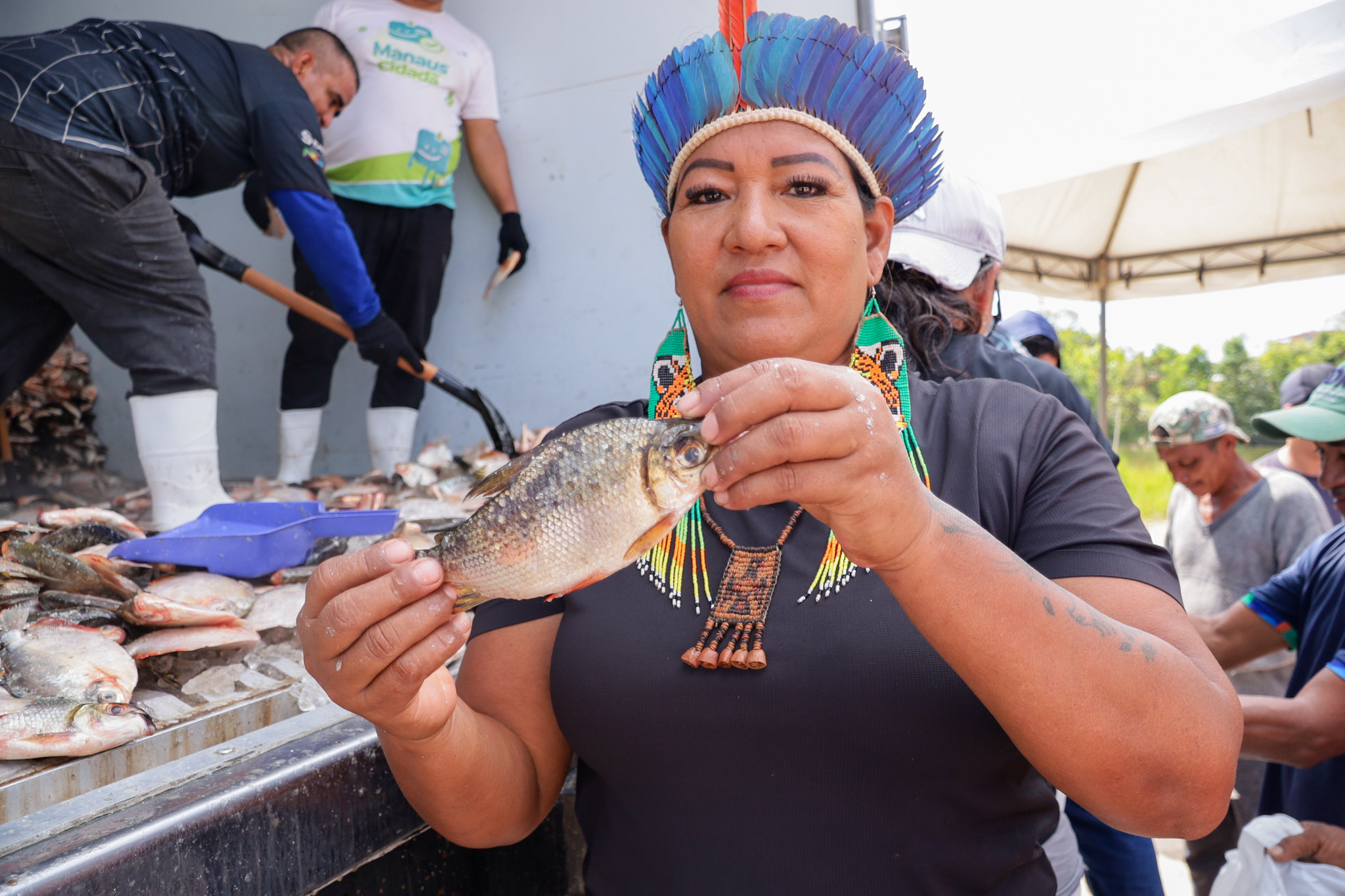 Prefeitura de Manaus entrega 85 mil peixes do programa ‘Jaraqui da Gente’ nos bairros Redenção e Tarumã