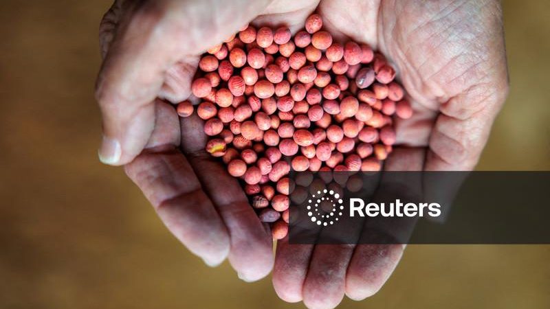 China compra pelo menos mais 10 carregamentos de soja dos EUA, dizem operadores