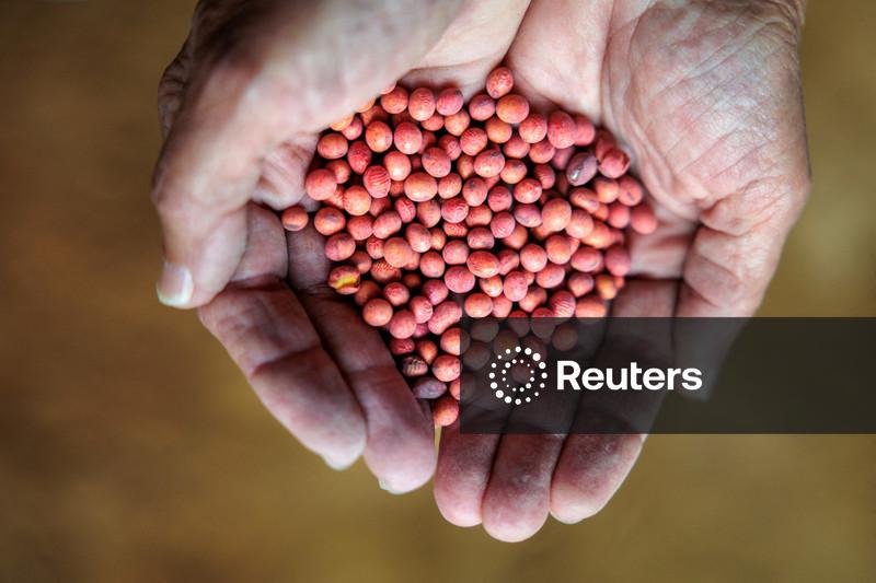 China compra pelo menos mais 10 carregamentos de soja dos EUA, dizem operadores