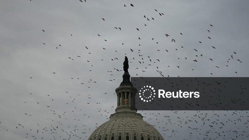 Democratas planejam investigações contra Trump caso conquistem a Câmara, segundo fontes