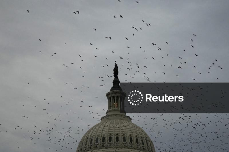 Democratas planejam investigações contra Trump caso conquistem a Câmara, segundo fontes