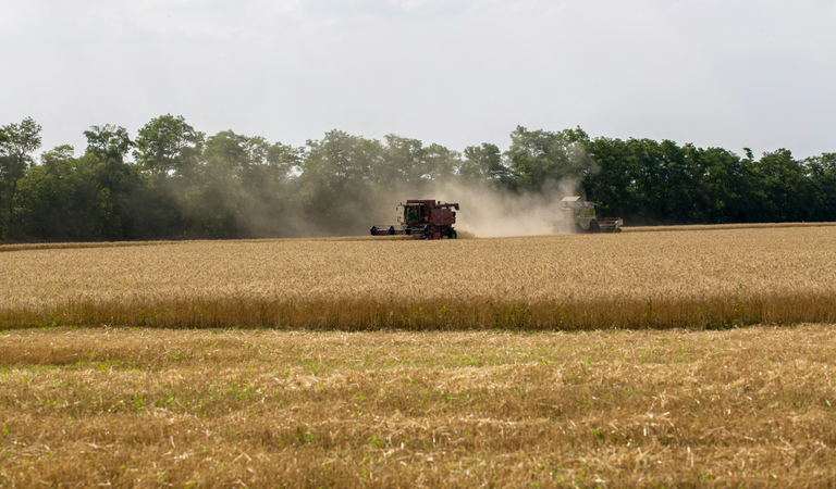 Crédito rural para a agricultura empresarial soma R$ 28,2 bilhões no primeiro mês da safra 2026/2027
