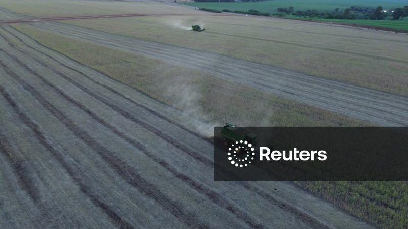 StoneX vê aumento de 0,76% na área de soja do Brasil em 26/27 e possível novo recorde