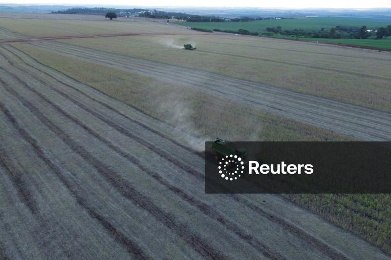 StoneX vê aumento de 0,76% na área de soja do Brasil em 26/27 e possível novo recorde