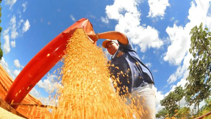 Criadores terão acesso a novos produtos para ração animal pelo Programa de Venda em Balcão