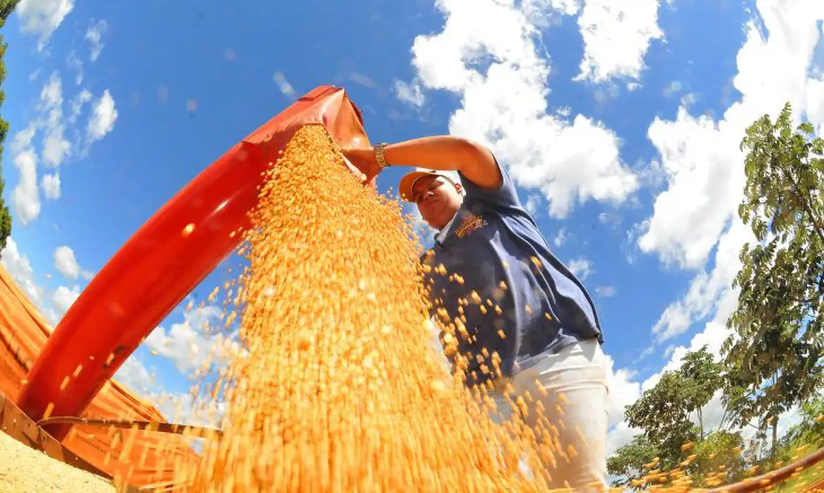 Criadores terão acesso a novos produtos para ração animal pelo Programa de Venda em Balcão