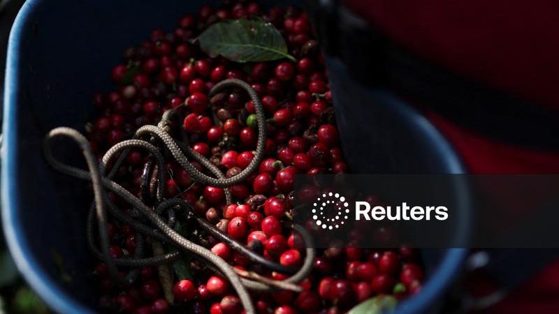 Retomada do fluxo de café da Colômbia pode levar semanas