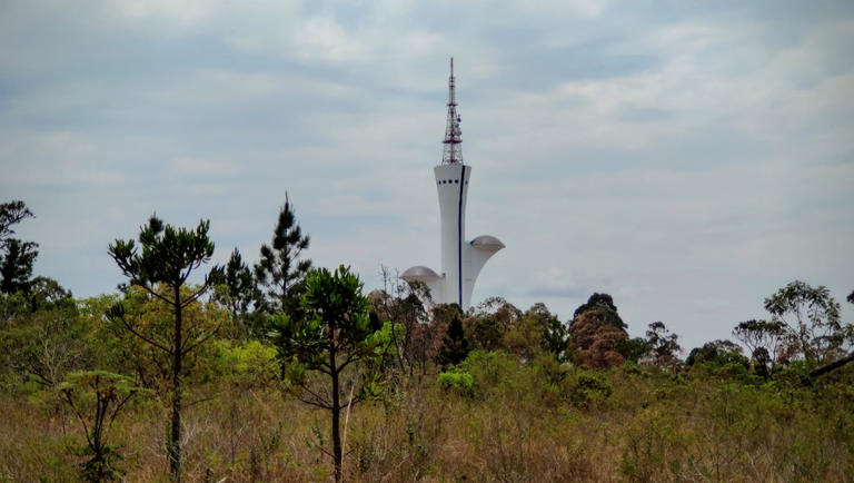 Trilha no coração do Brasil une a arquitetura modernista de Brasília à natureza selvagem do Cerrado