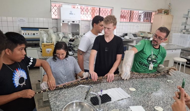 Universidade Federal de Rondônia oferece atendimento veterinário gratuito