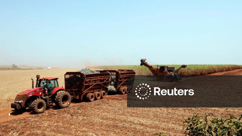Clima, e não o preço, será fator determinante para produção de açúcar nas usinas brasileiras