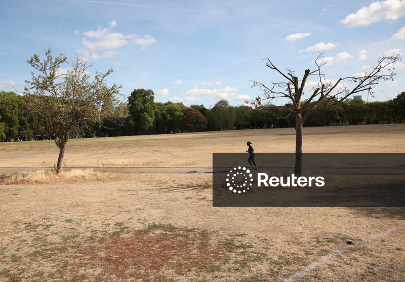 Verão no Reino Unido foi o mais quente já registrado, diz Met Office, após período de forte calor e seca