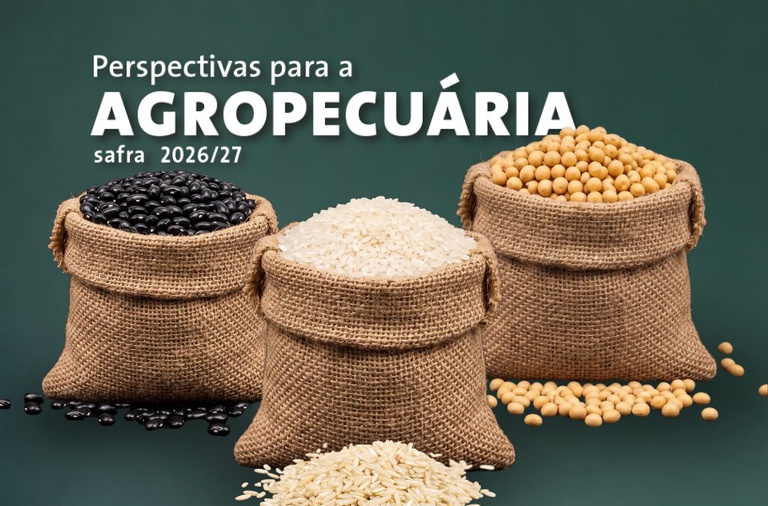 Safra de grãos 2026/27 deve atingir 366,6 milhões de toneladas. Projeção é da Conab