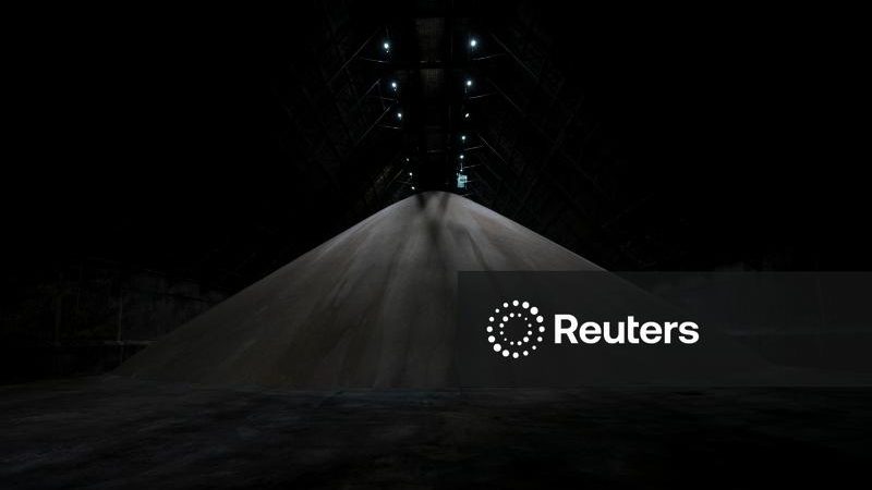 Maiores riscos podem transformar açúcar numa commodity “super quente”, diz ex-diretor da Wilmar