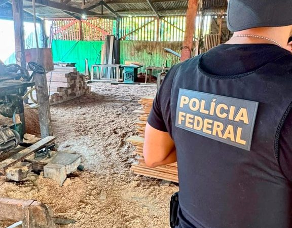 Polícia Federal deflagra operação para coibir crimes ambientais no sul do Amazonas