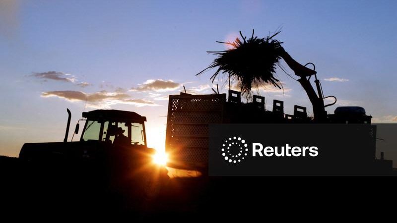 Contrato outubro da bolsa ICE tem entregas estimadas em 1,45 mi t, dizem operadores