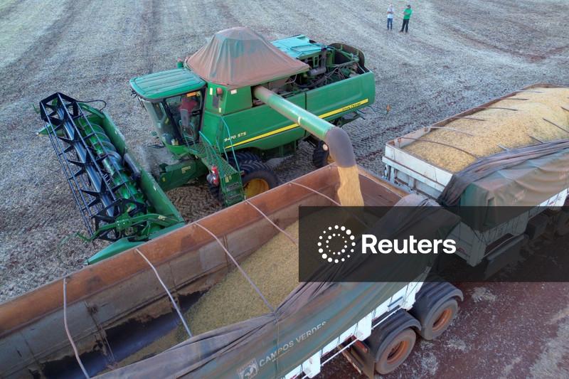 StoneX eleva em 0,2% previsão de safra de soja do Brasil 2026/27 para 183,5 mi t