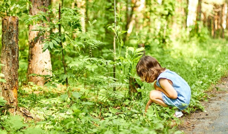 Sancionada lei que estabelece diretrizes para garantir o direito de crianças e adolescentes à natureza