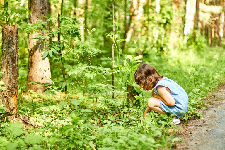 Sancionada lei que estabelece diretrizes para garantir o direito de crianças e adolescentes à natureza