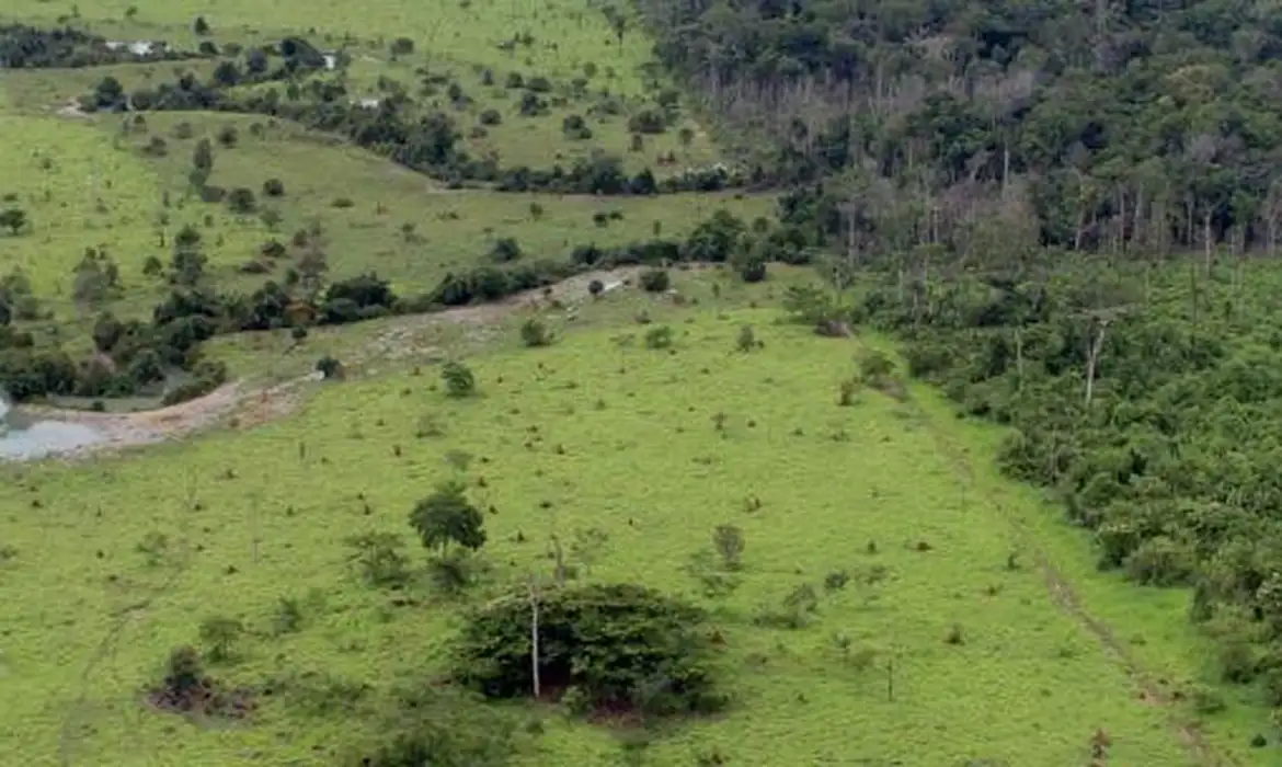 Confira perguntas e respostas sobre o Imposto Territorial Rural 2026