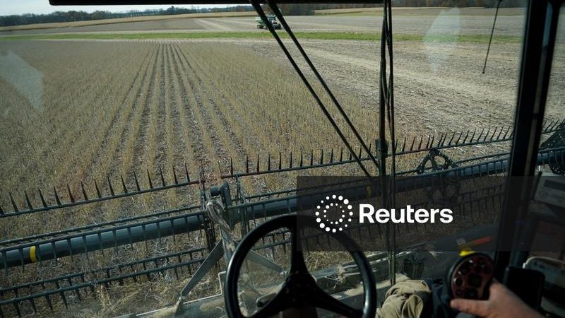 China reduzirá tarifas sobre produtos agrícolas dos EUA, soja está fora da lista