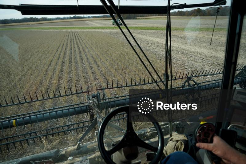 China reduzirá tarifas sobre produtos agrícolas dos EUA, soja está fora da lista