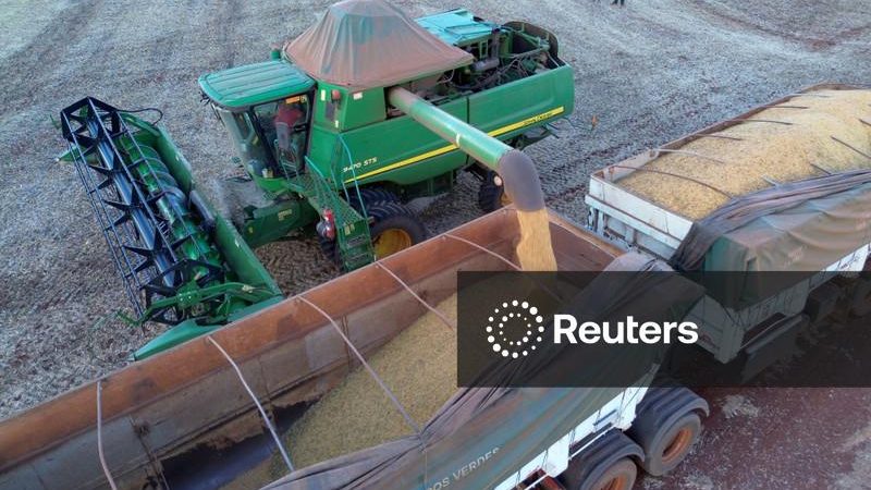 Plantio de soja do Brasil tem leve avanço anual na safra 26/27, estima AgRural