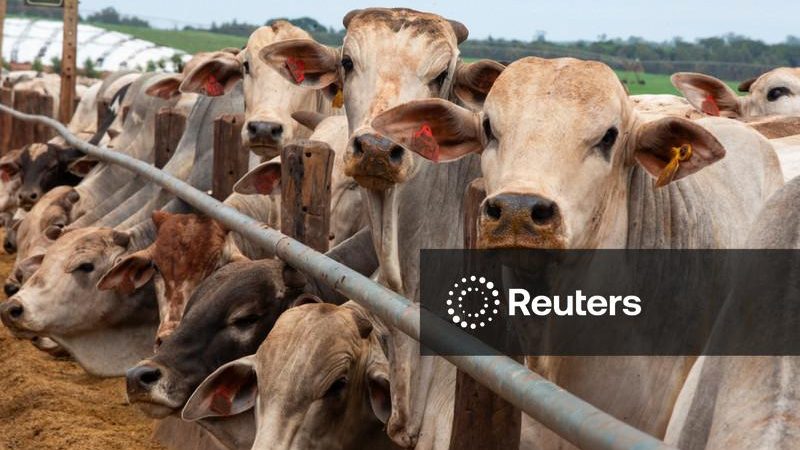 Lula diz que Uruguai cedeu ao Brasil parte da cota de exportação de carne bovina à China
