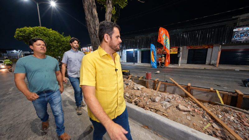 Prefeito Renato Junior garante permanência de árvores em canteiros centrais e anuncia plantio de novas