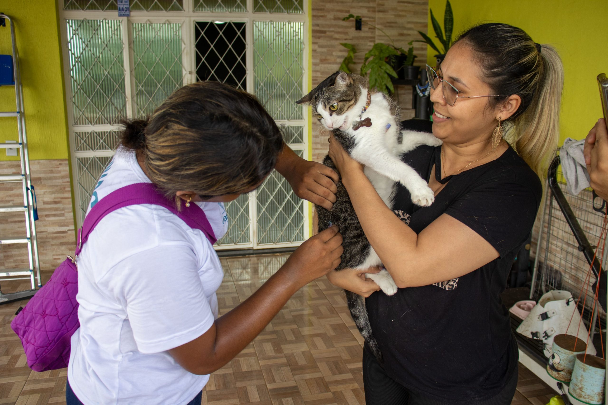 Prefeitura segue com vacinação de cães e gatos contra raiva nos bairros e em 27 postos fixos